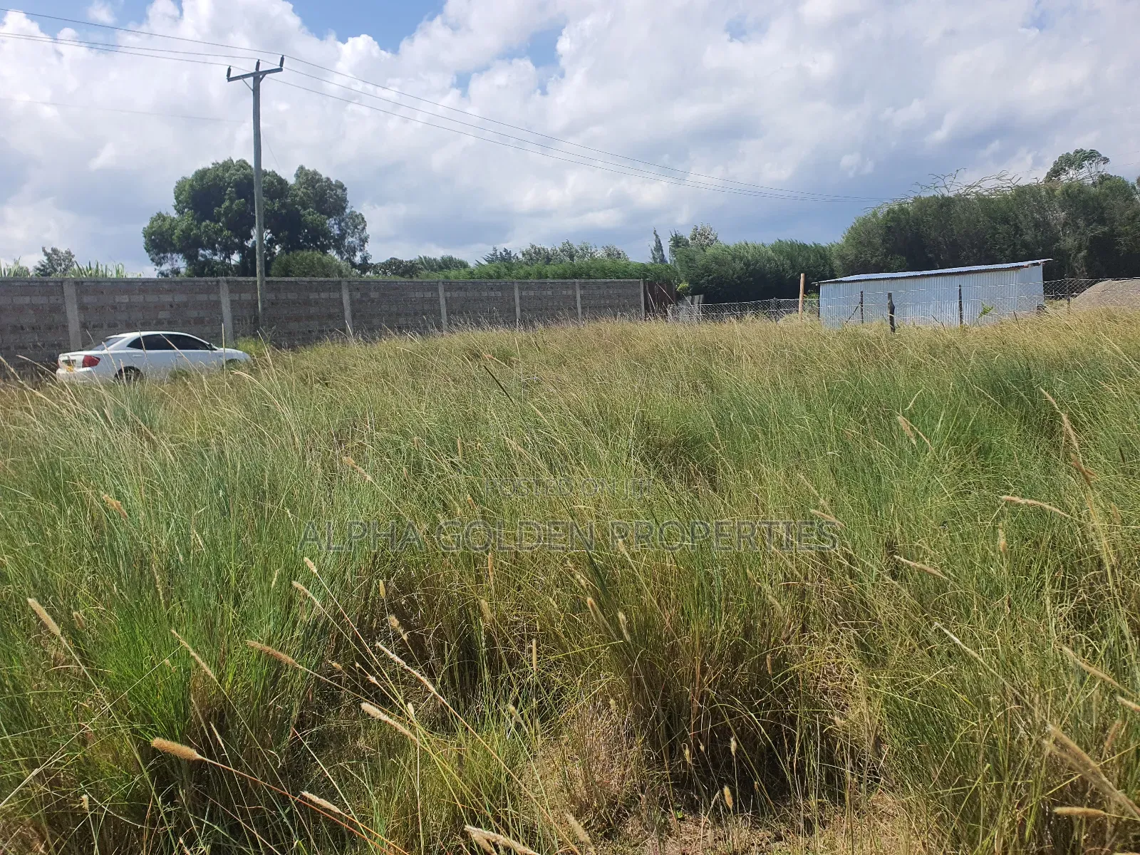 Nanyuki Prime Plots