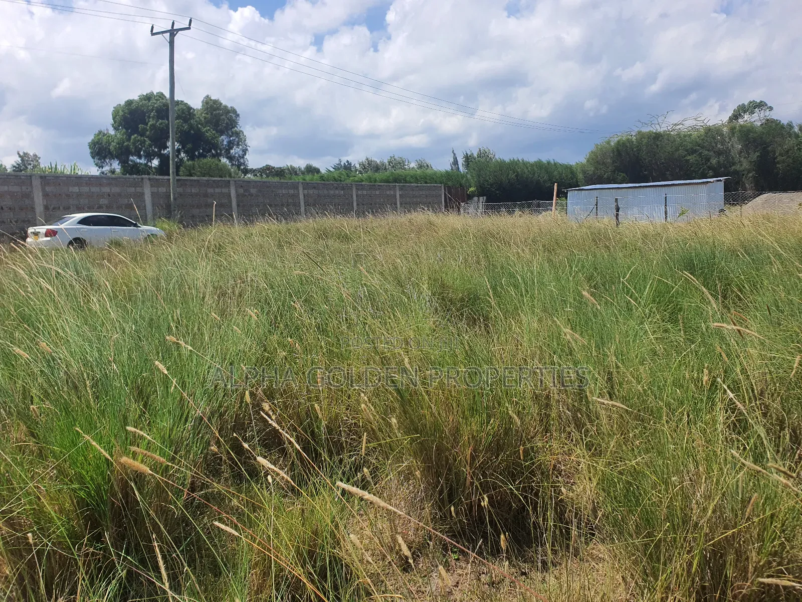 Nanyuki Prime Plots