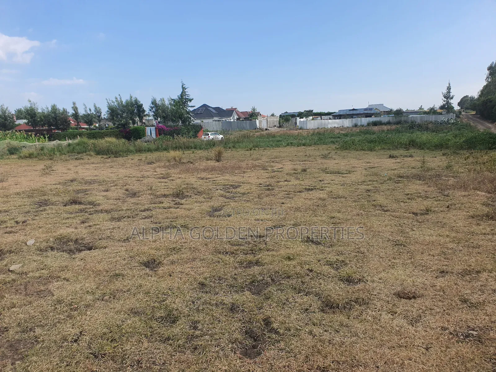 Nanyuki Runda Estate Plots