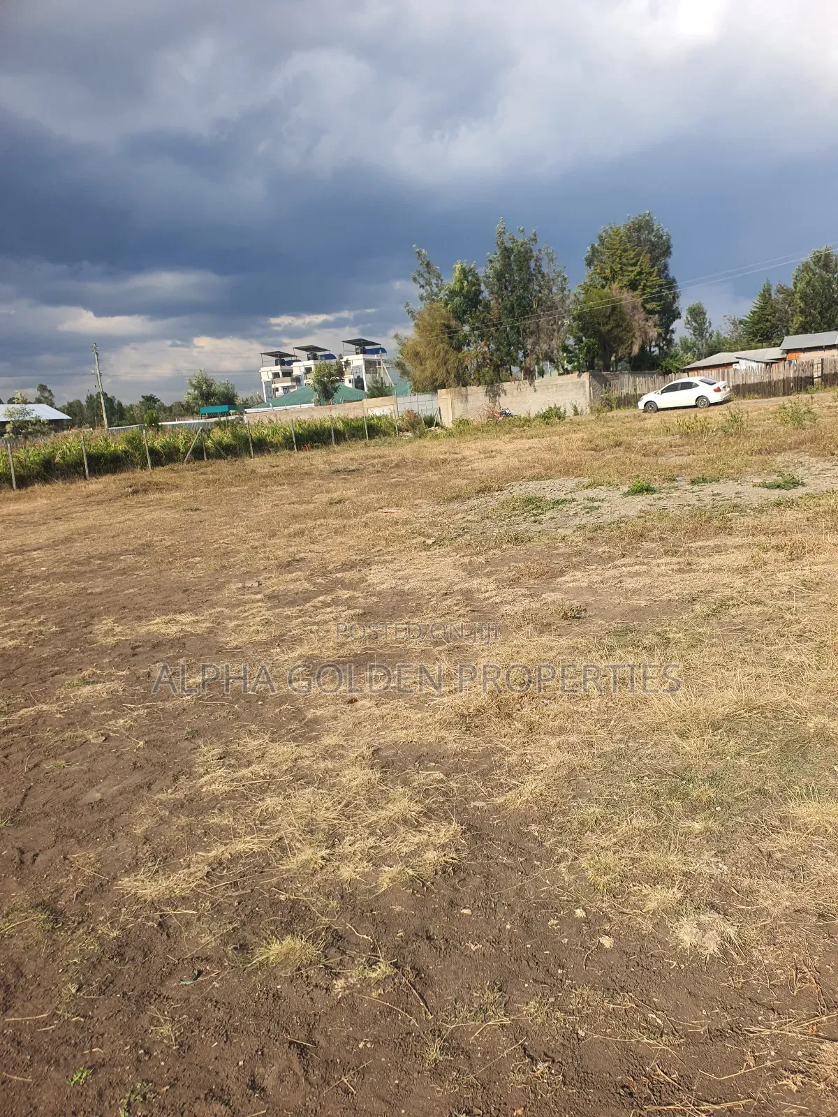Nanyuki Runda Estate Plots