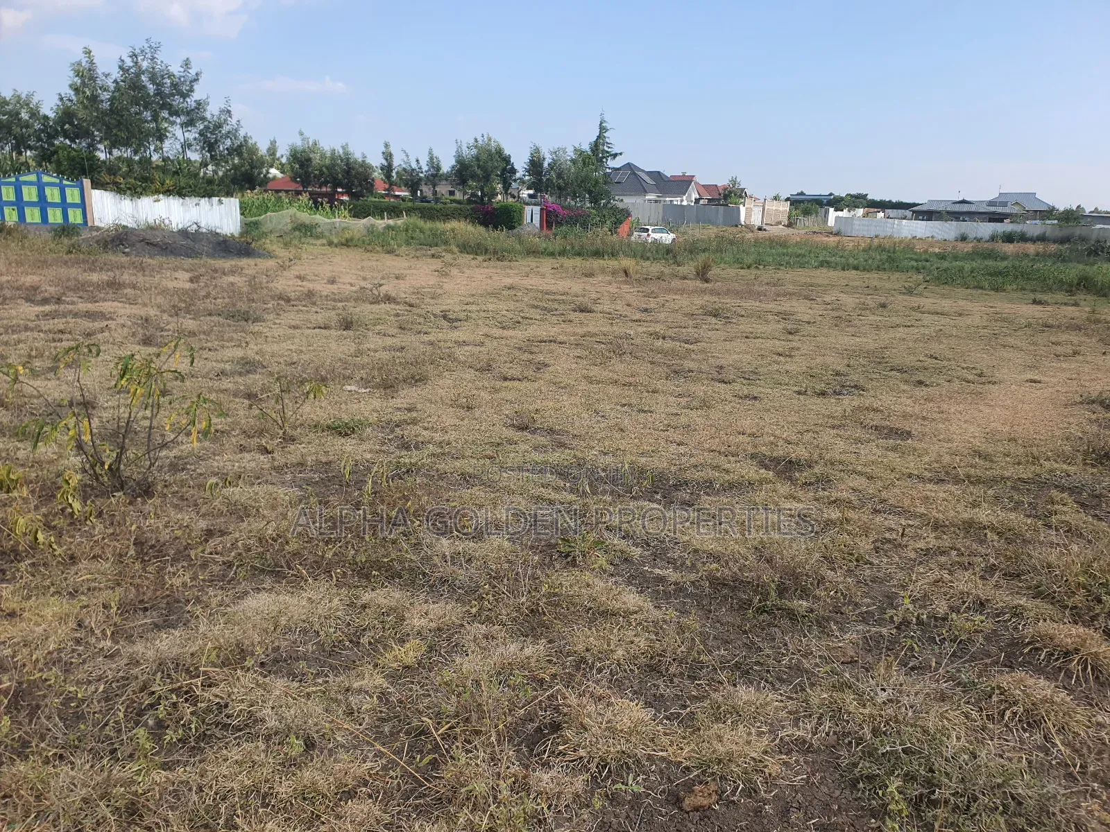 Nanyuki Runda Estate Plots