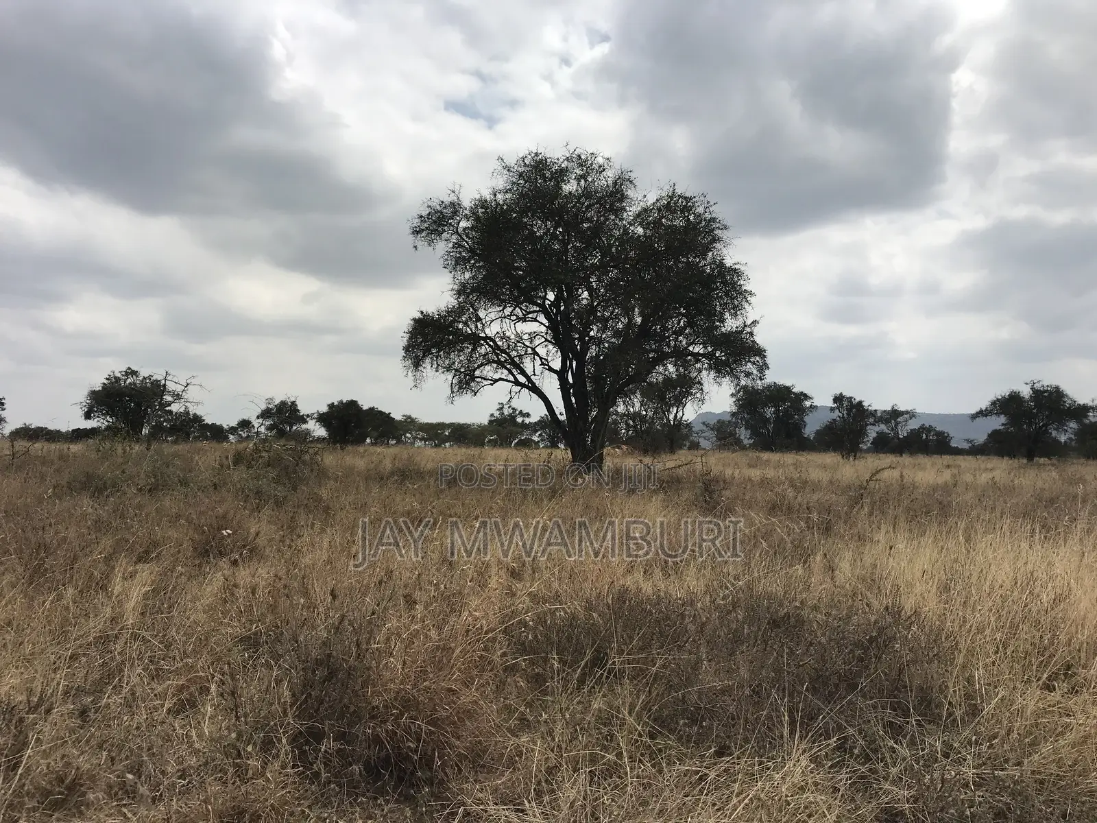 12 Acres Maanzoni Mua