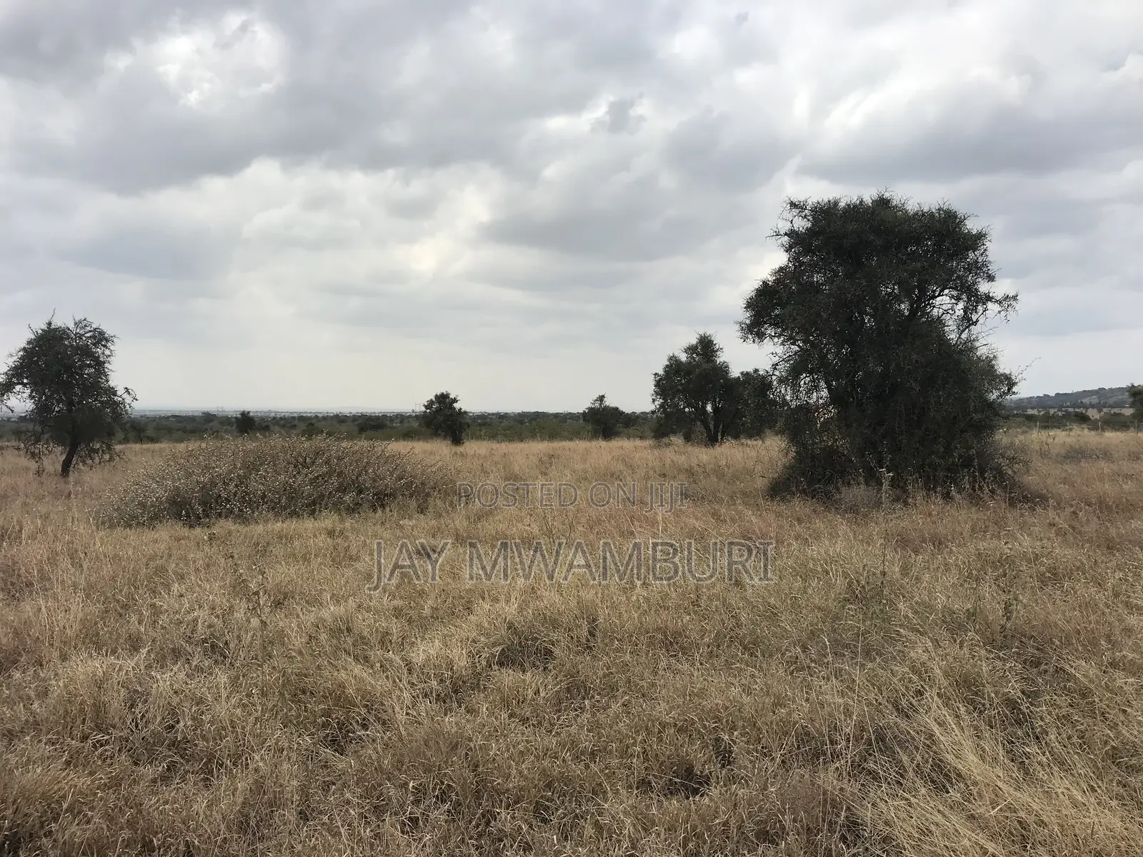 12 Acres Maanzoni Mua