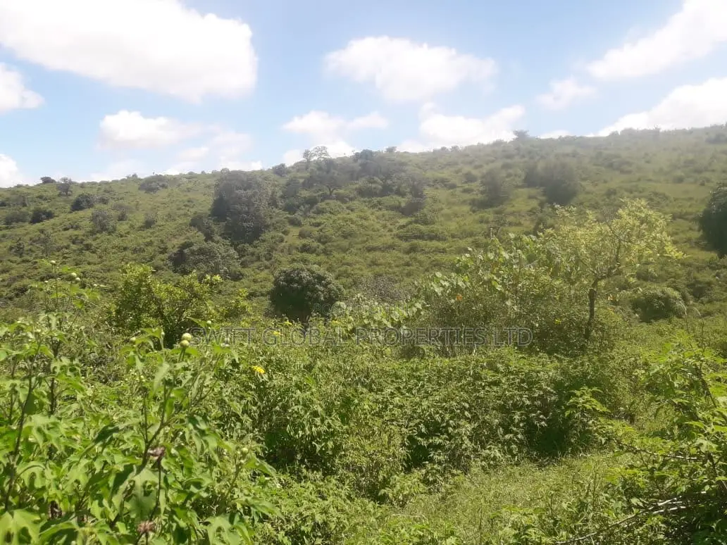1,000 Acres Touching Mombasa Road in Emali Town Is for Sale