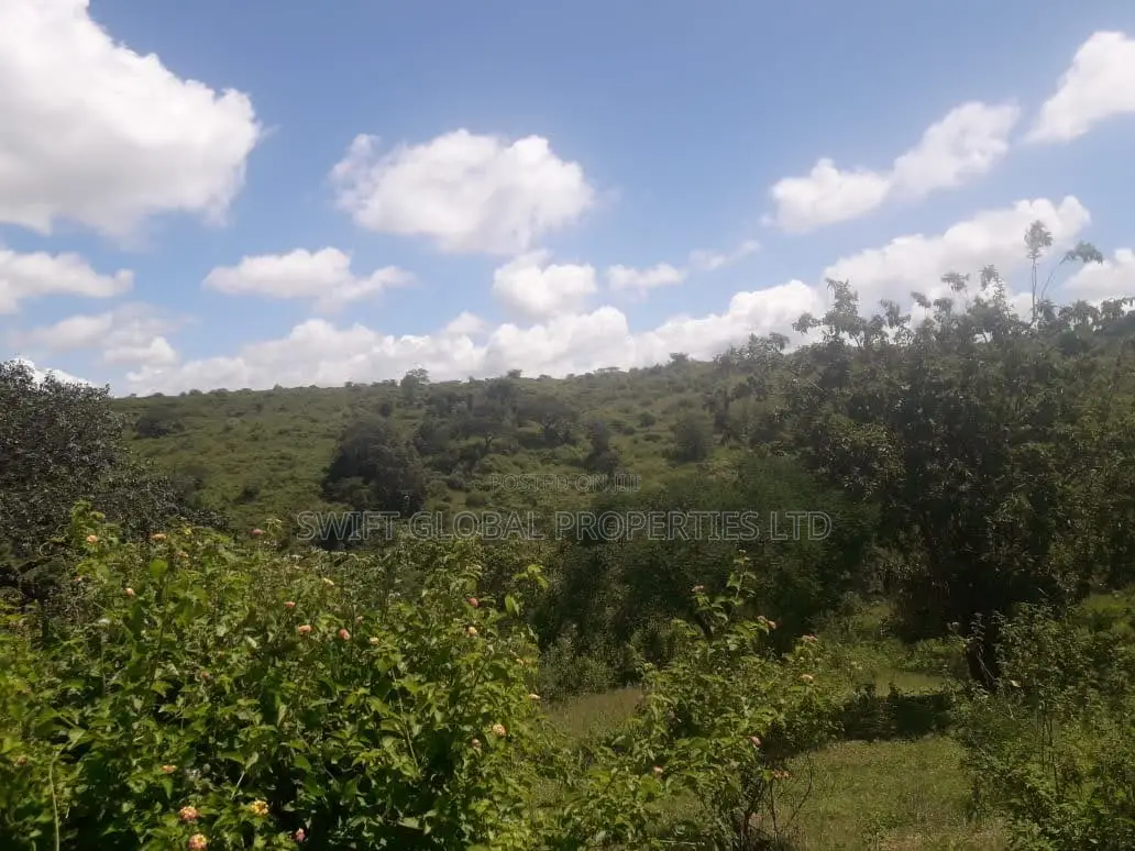 1,000 Acres Touching Mombasa Road in Emali Town Is for Sale