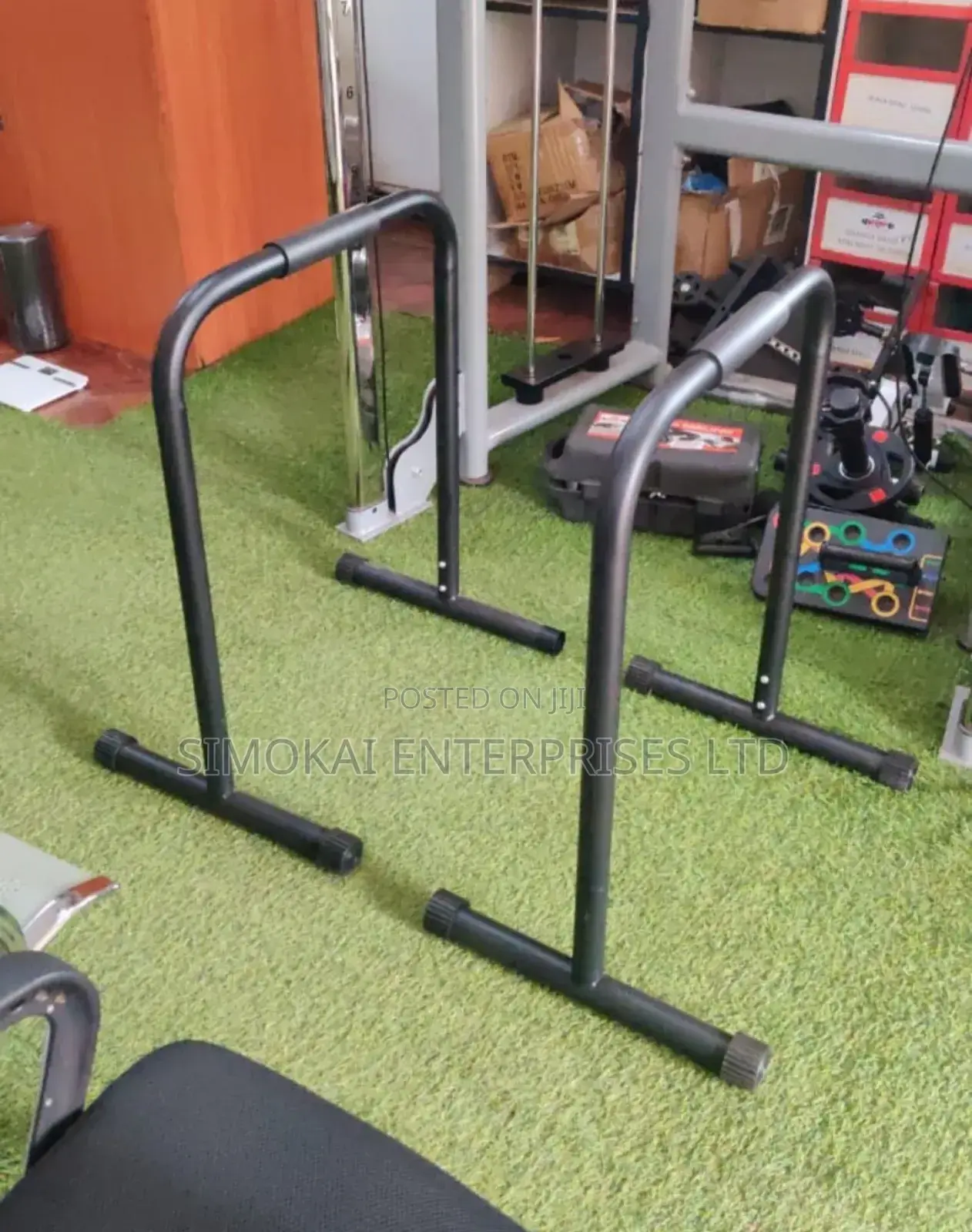 Exercise Gym Dip Bars