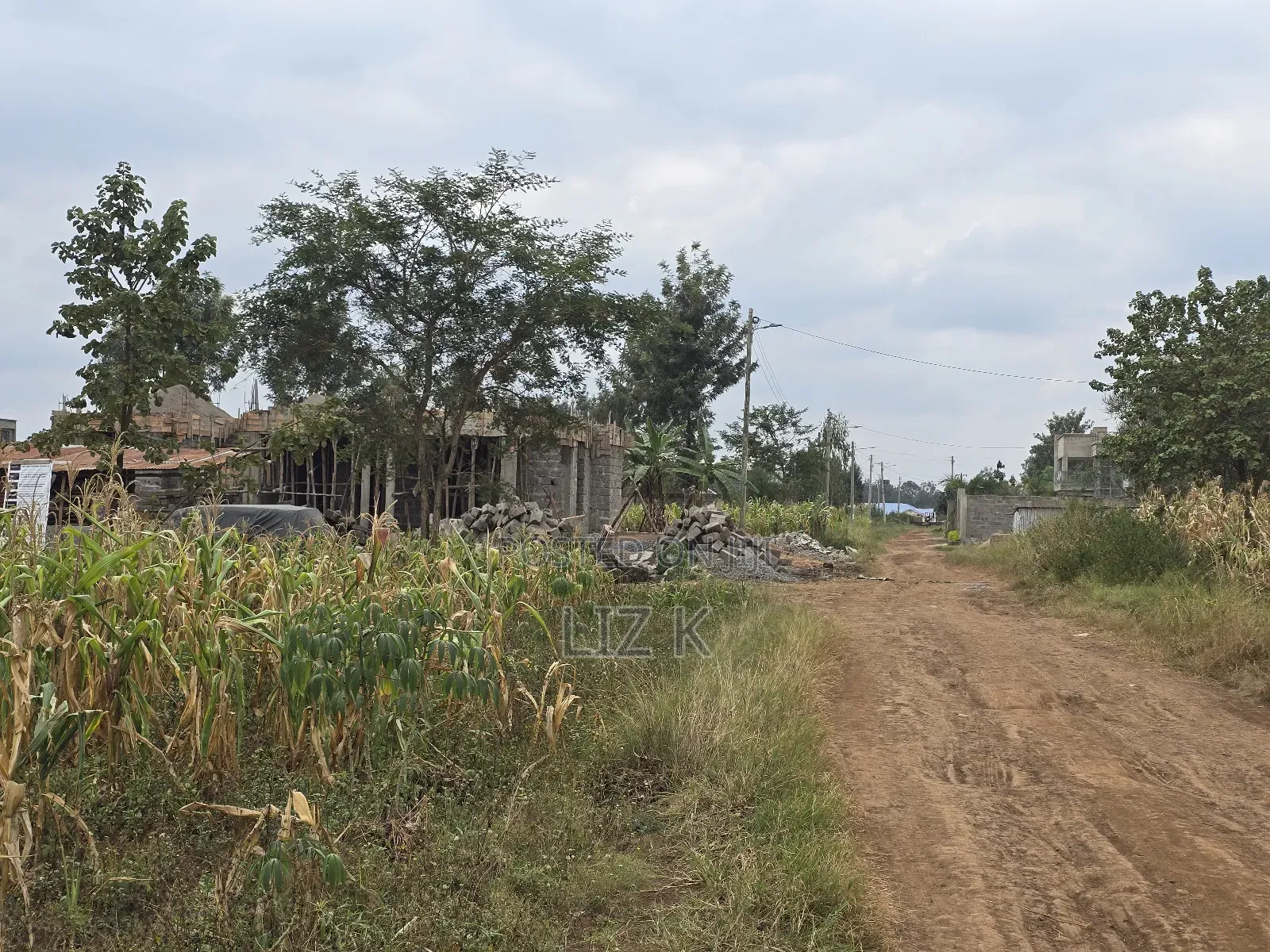 50x100 Residential Plot in Kenyatta Rd,Croton