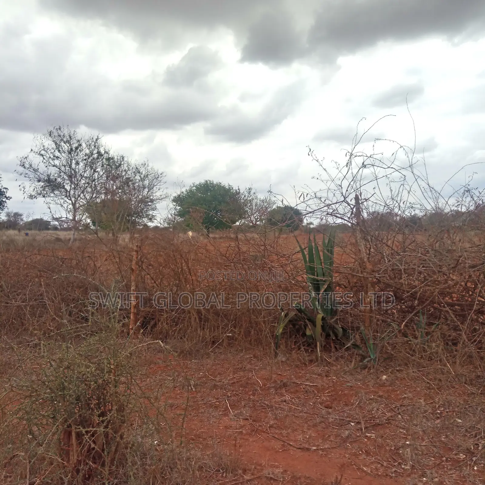 8,000 Acres Are Available for Sale in Maungu, Voi Town