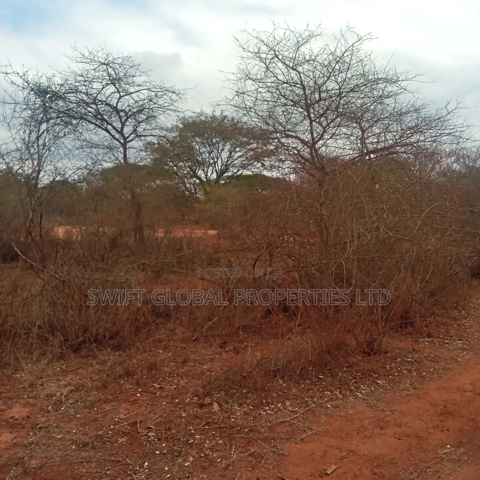 8,000 Acres Are Available for Sale in Maungu, Voi Town