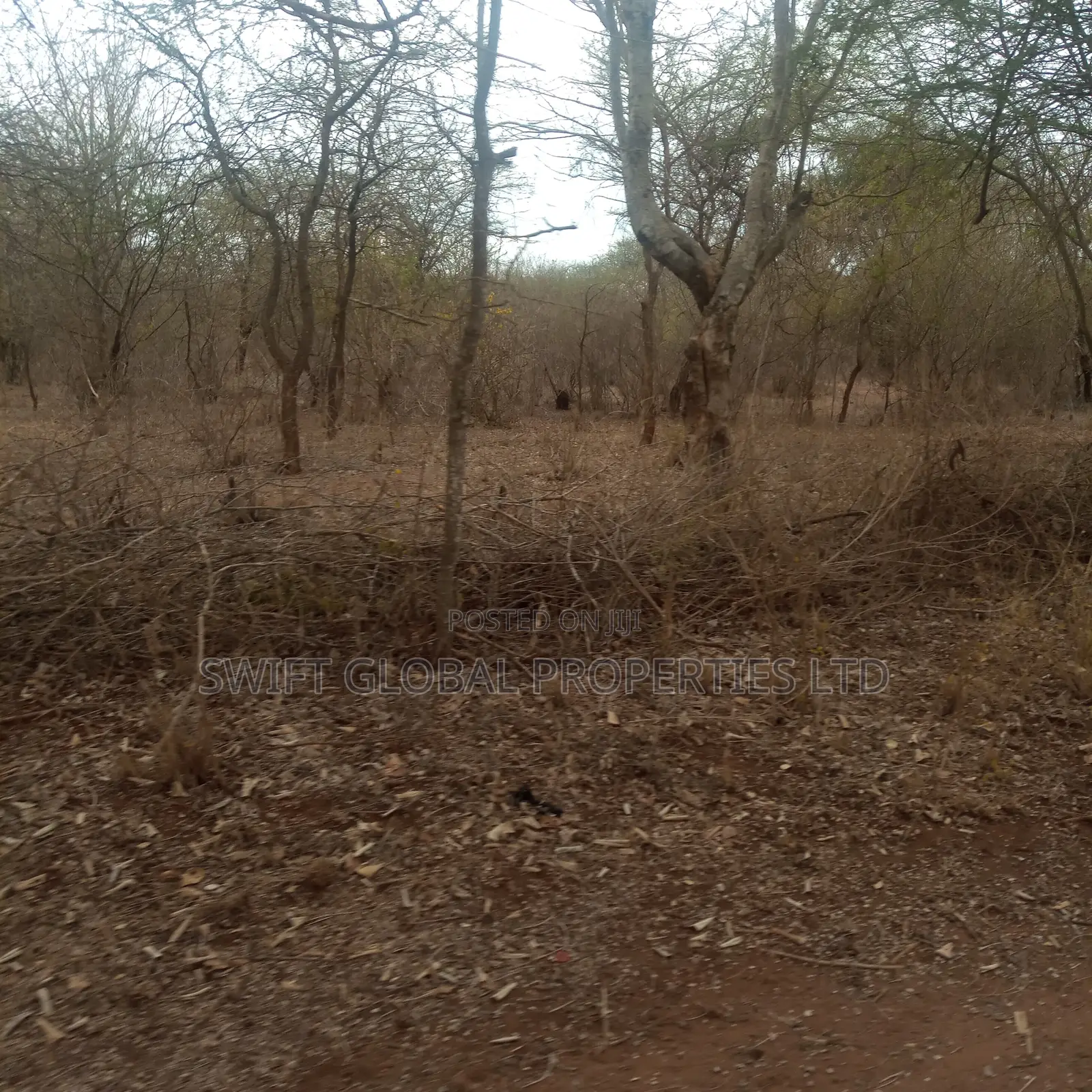 8,000 Acres Are Available for Sale in Maungu, Voi Town