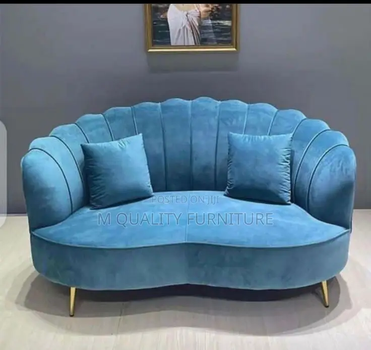Blue 2 Seater Uniquely Modernized Sofa