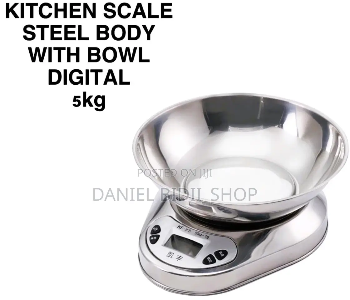 Digital Steel Bowl Body Scale