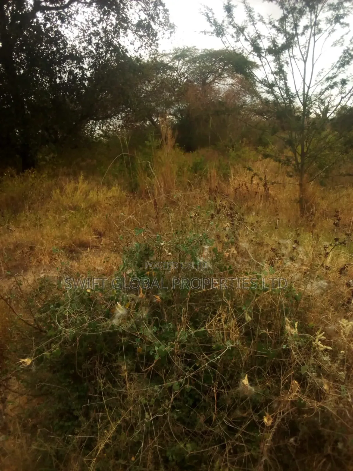 40,000 Acres With Water in Witu Lamu Is Available for Sale