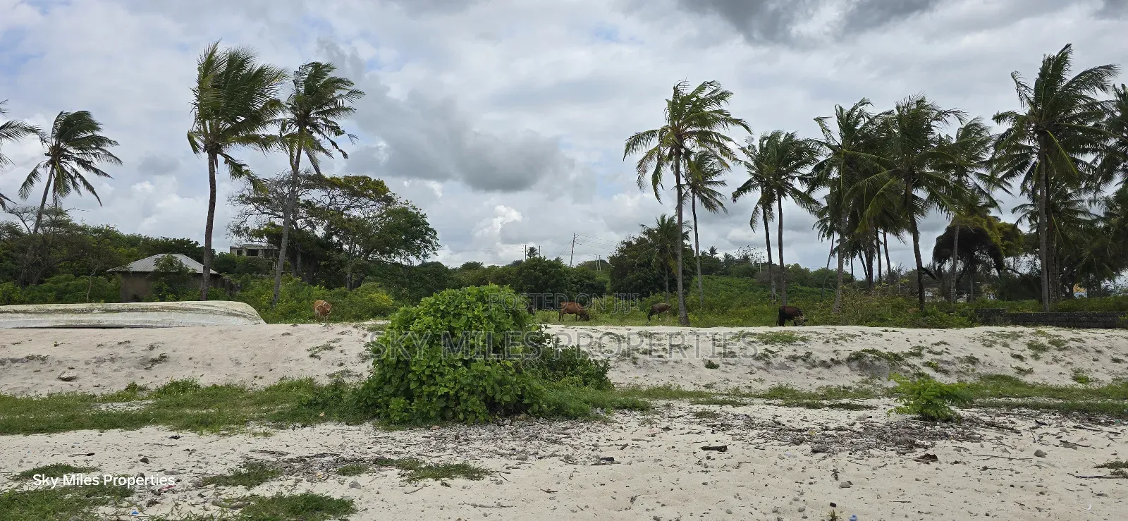 1 Acre Beach Plot for Kikambala