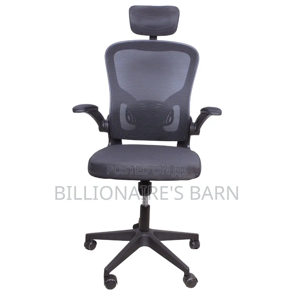 Grey Ergonomic Office Chair
