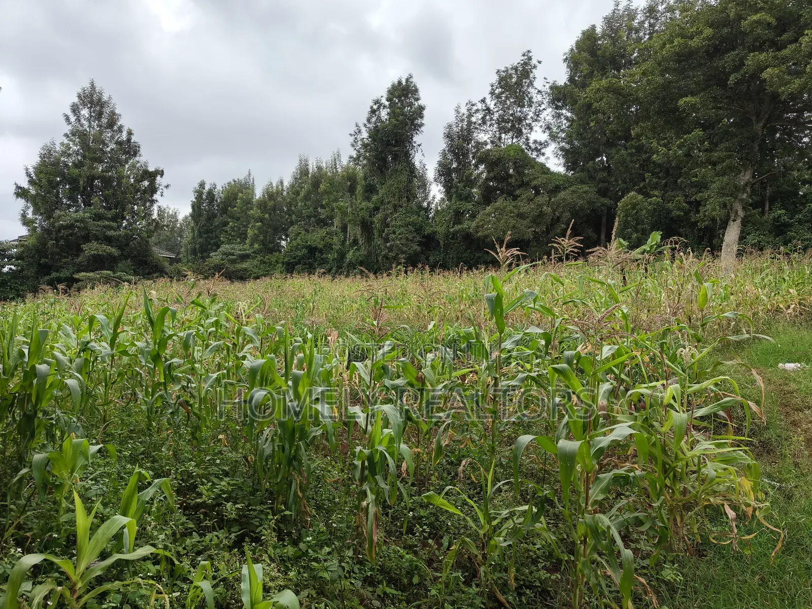 Half Acre Plot in Ngong, Along Olulua Rd With Scenic View