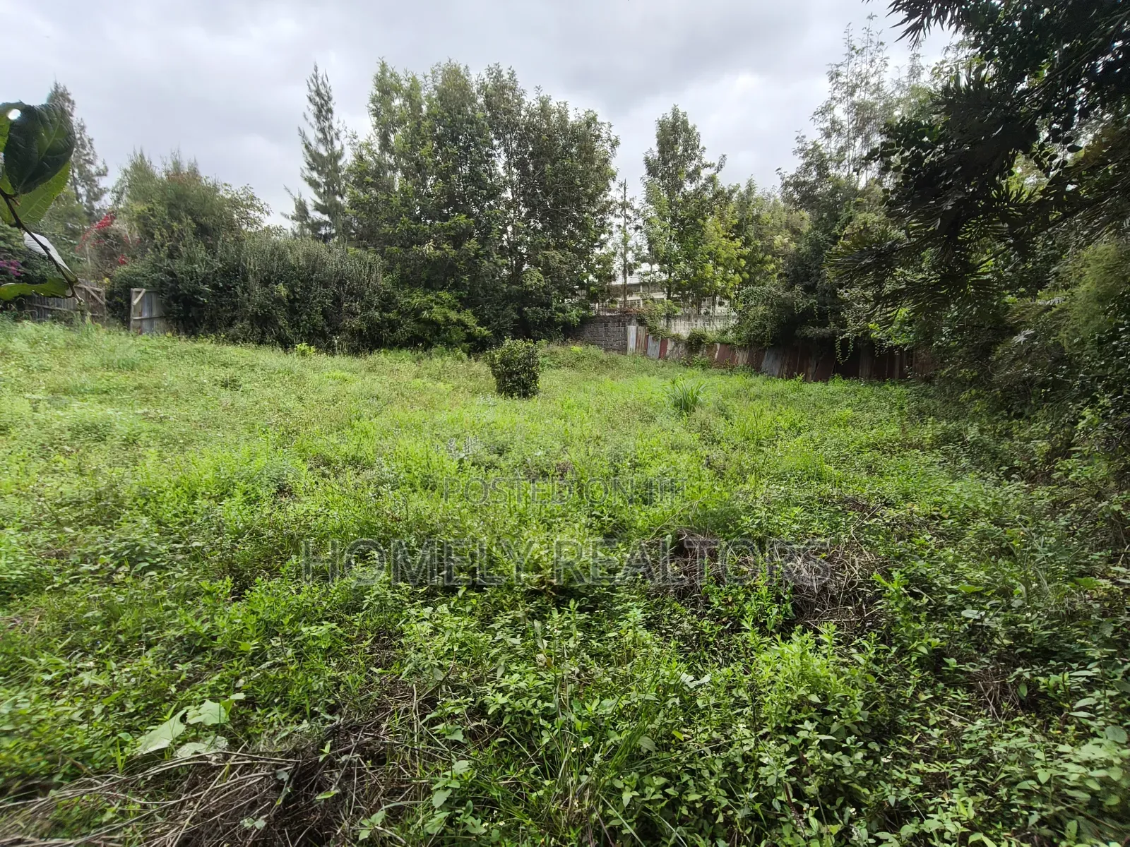 Quarter Acre Plot on Sale in Ngong, Ol Keri in a Good Estate