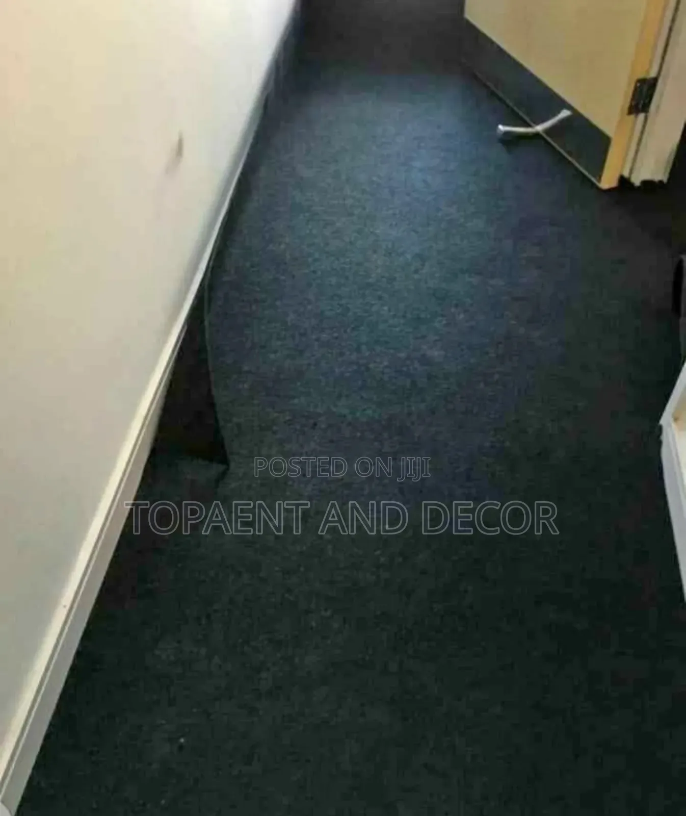 Noise Reducing Wall to Wall Carpet for Office and Home