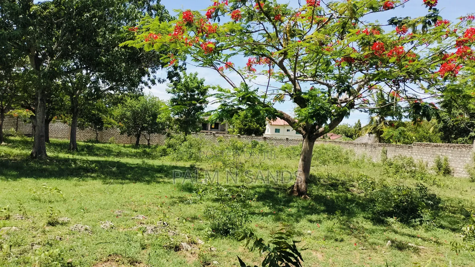 Half Acre Prime Land on Sale in Diani Kongo River Area