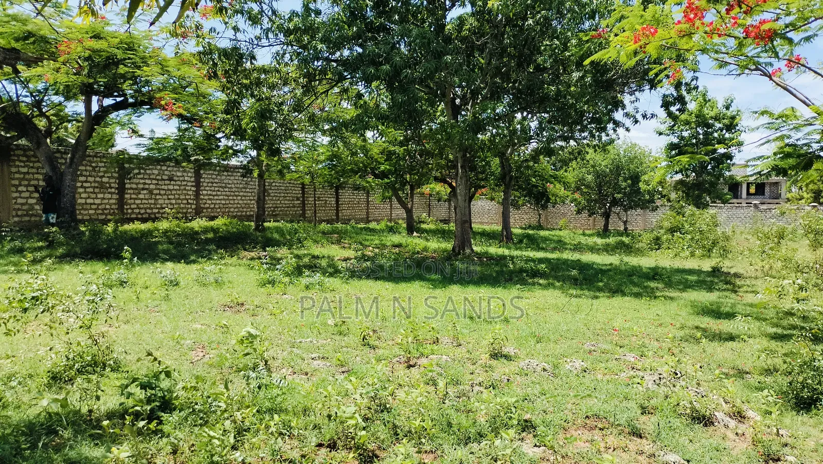 Half Acre Prime Land on Sale in Diani Kongo River Area