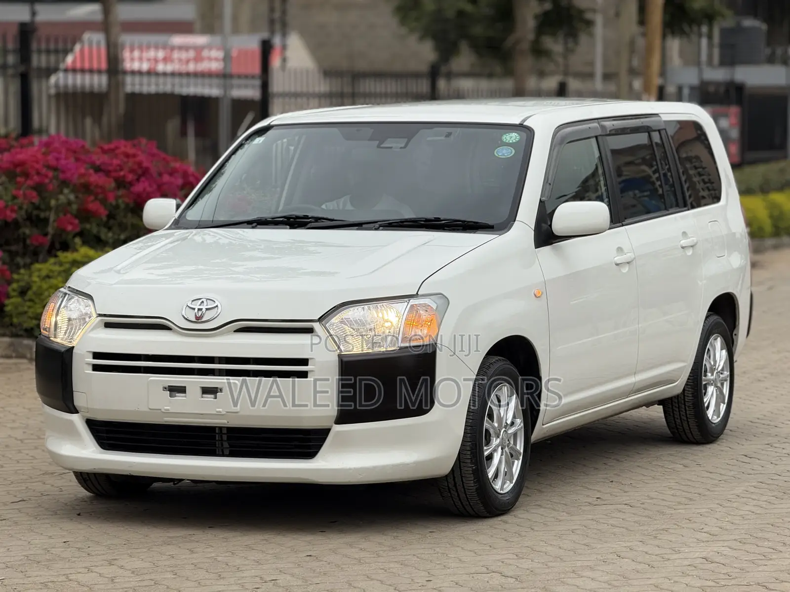 Toyota Probox 2020 Pearl
