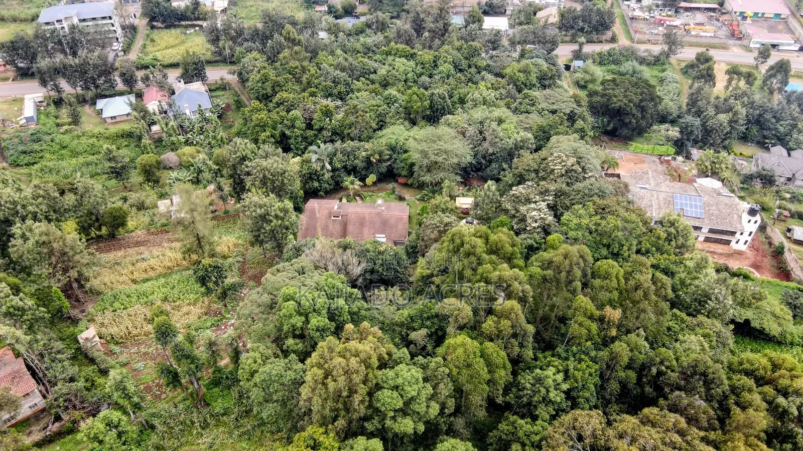 Prime 1/4 Acre Muthaiga,Ngong at 10m