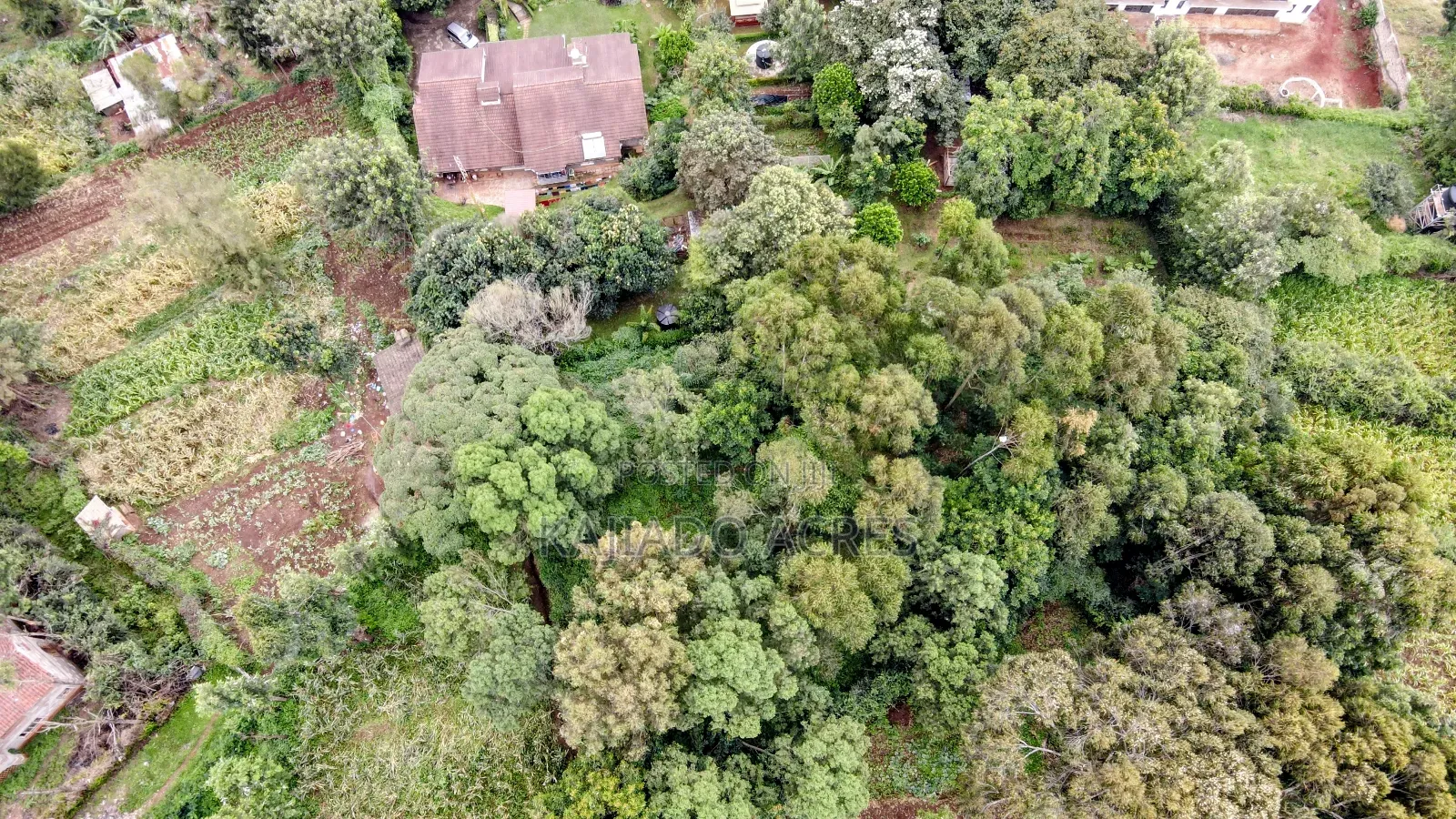 Prime 1/4 Acre Muthaiga,Ngong at 10m