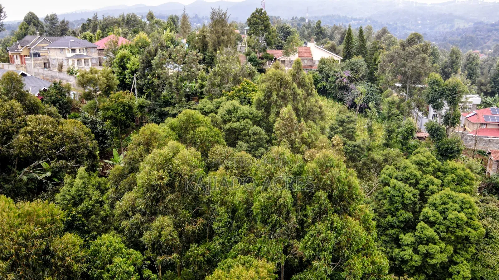 Prime 1/4 Acre Muthaiga,Ngong at 10m