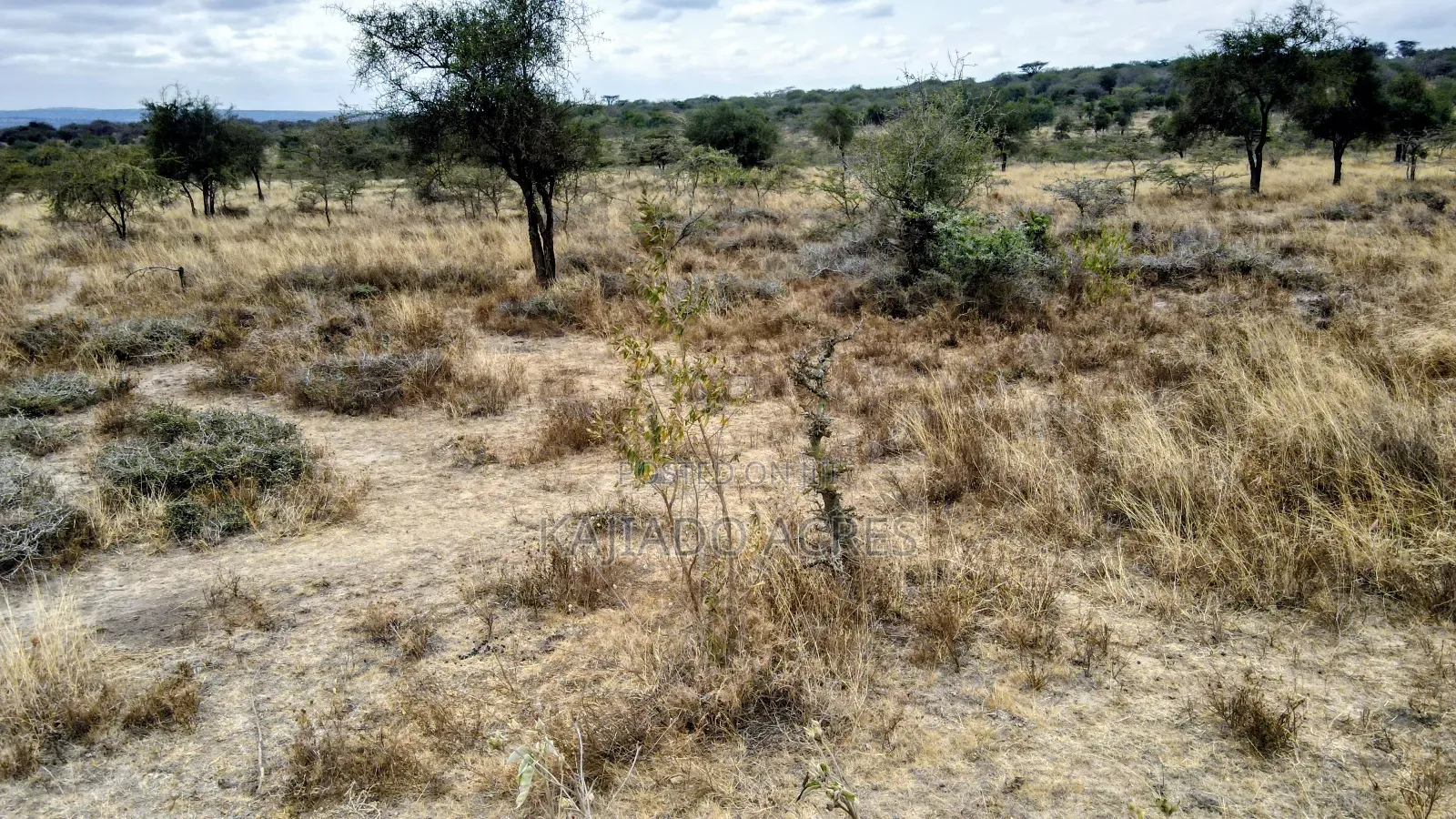 8 Acres Imaroro at 600,000kshs Per Acre
