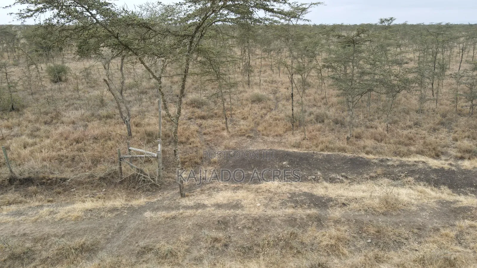 10 Acres Touching Imaroro Konza Road at 850,000ksh Per Acre