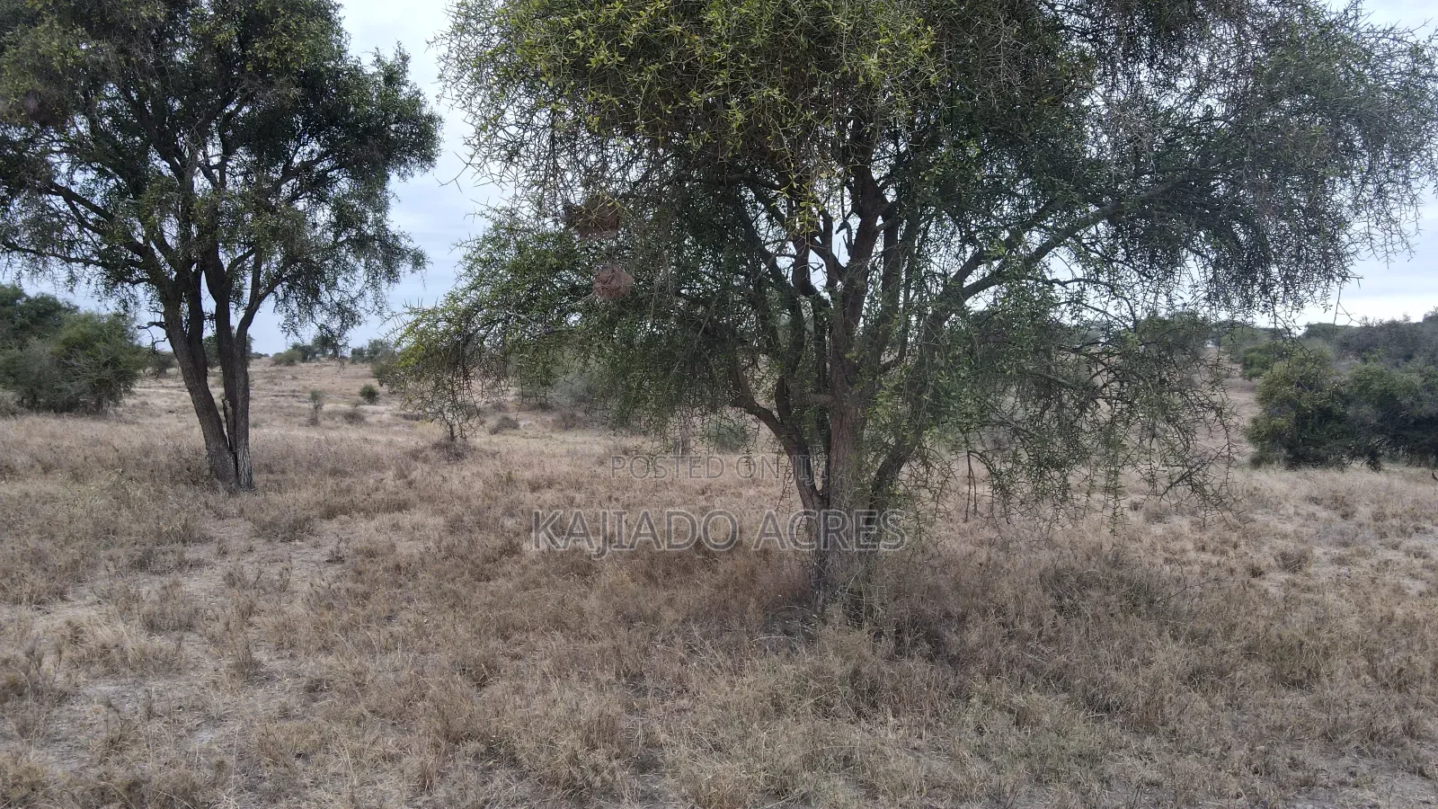 40 and 100 Acres Imaroro- Konza Road