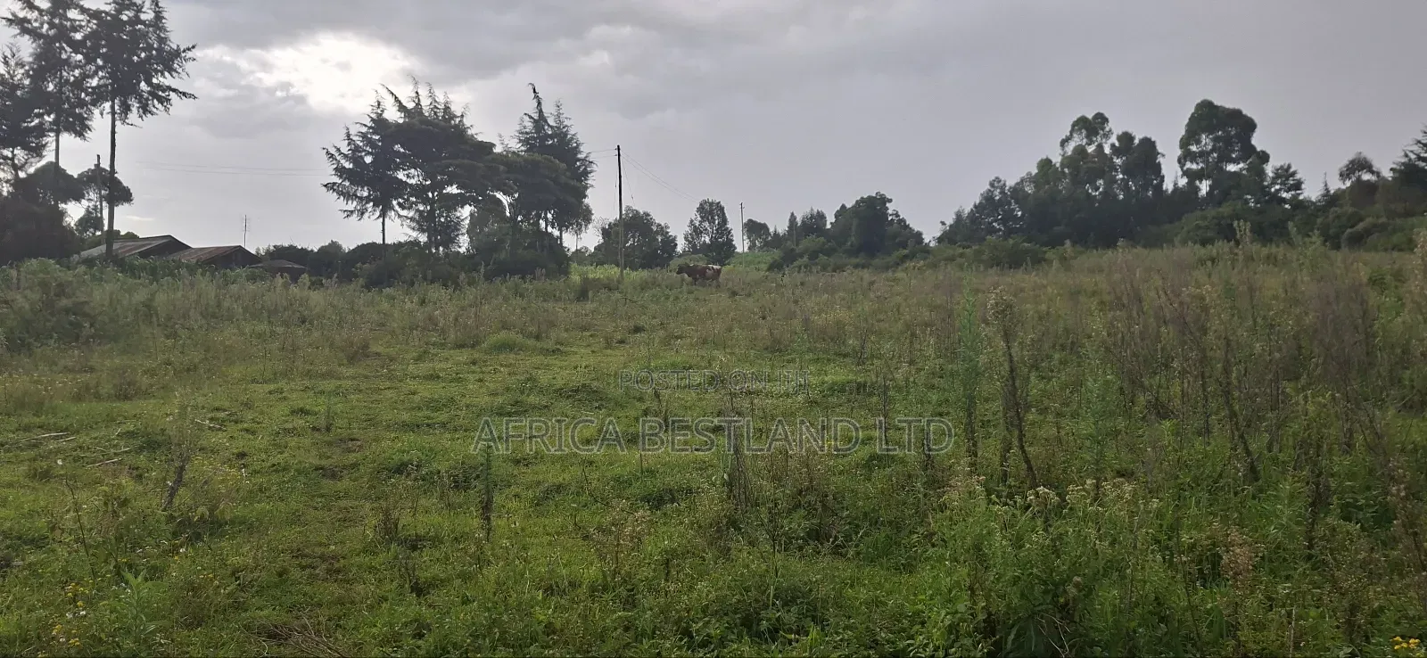 2.5 Acres Land for Sale in Gilgil