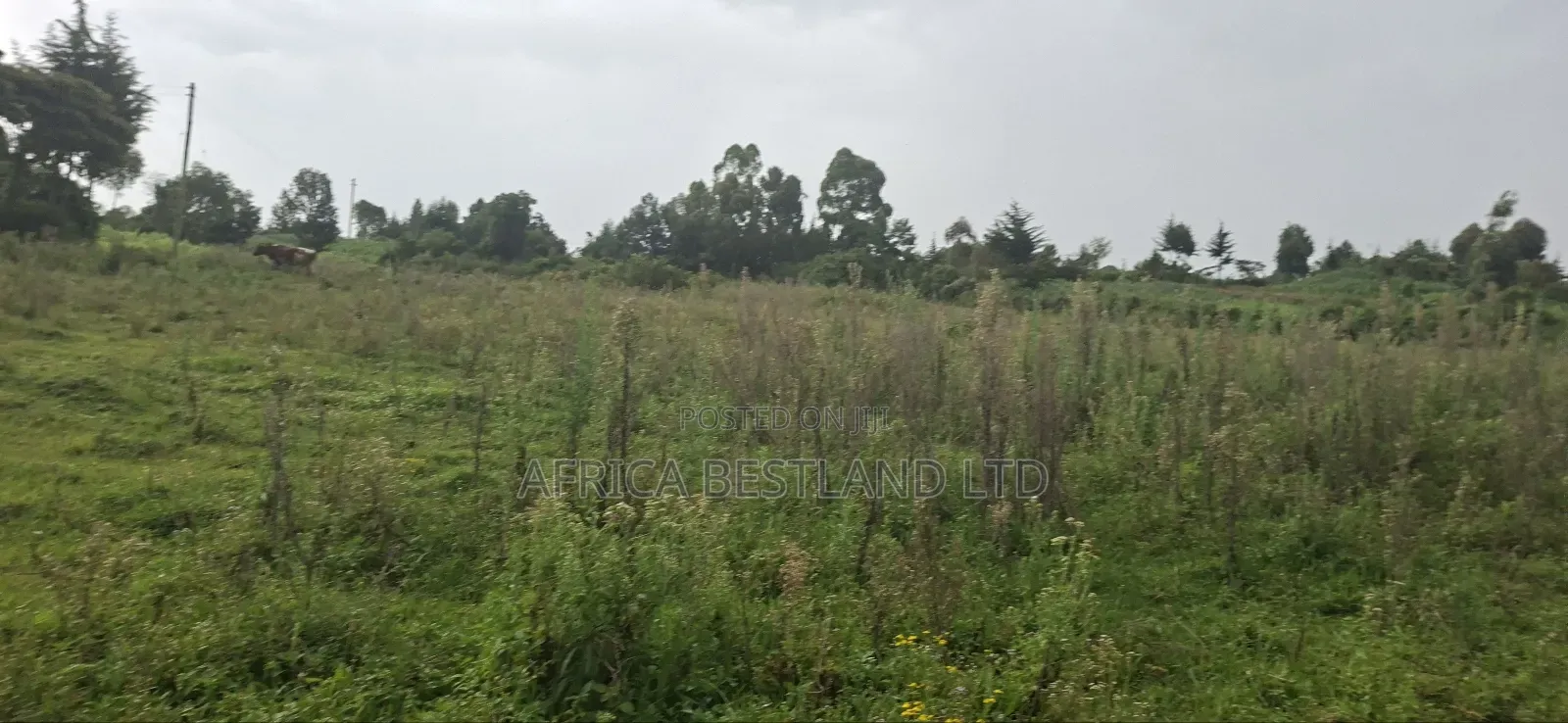 2.5 Acres Land for Sale in Gilgil