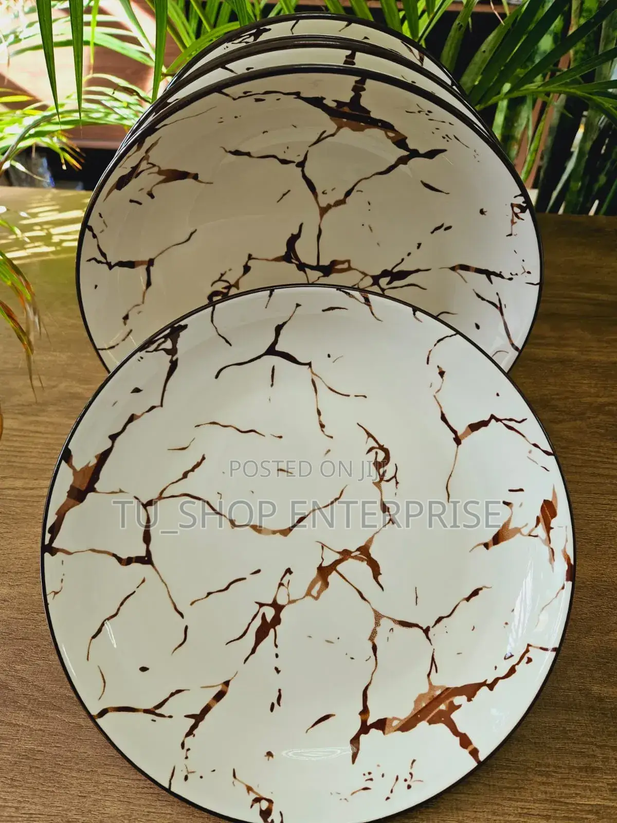 6 PCS Dinner Plate Ceramic