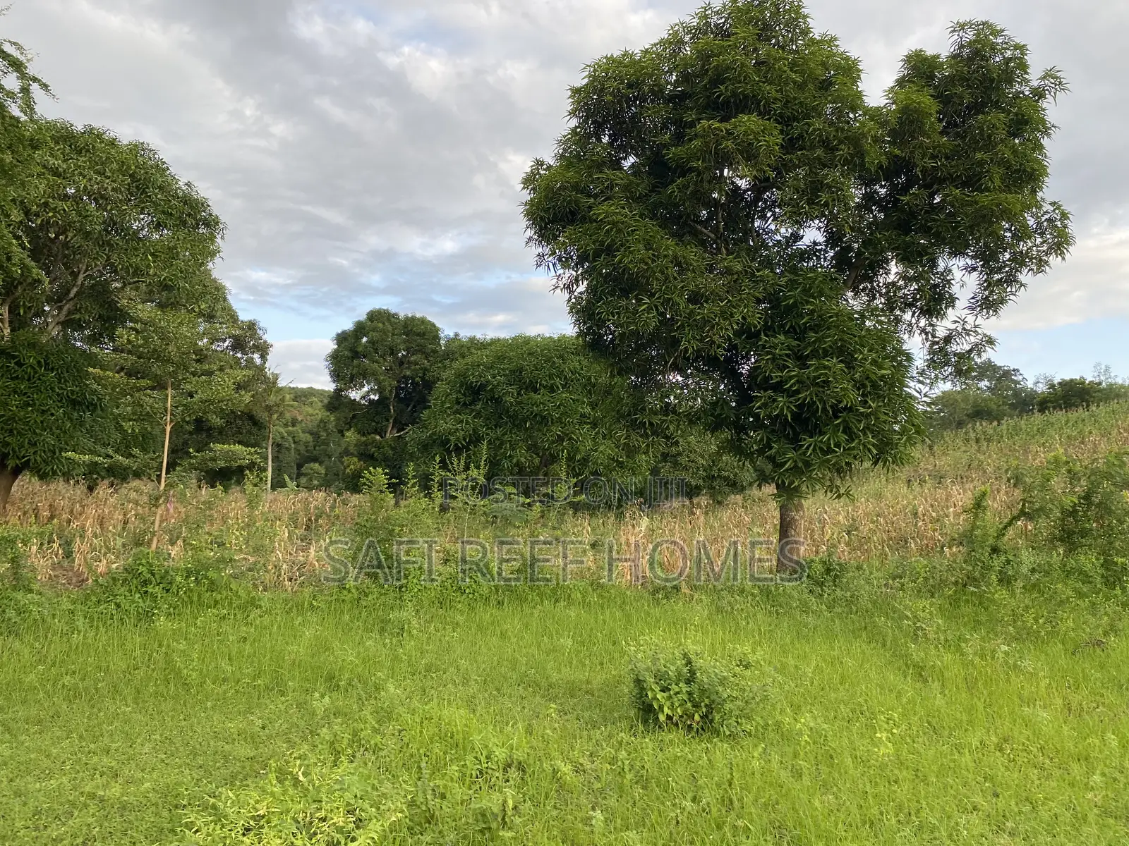 3 Acres for Sale Mtwapa Mtepeni Creek Side