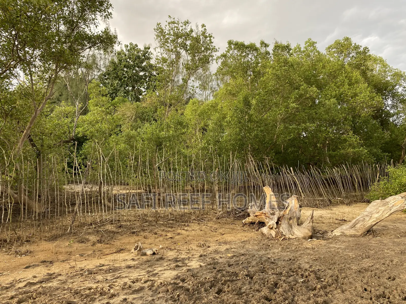 3 Acres for Sale Mtwapa Mtepeni Creek Side