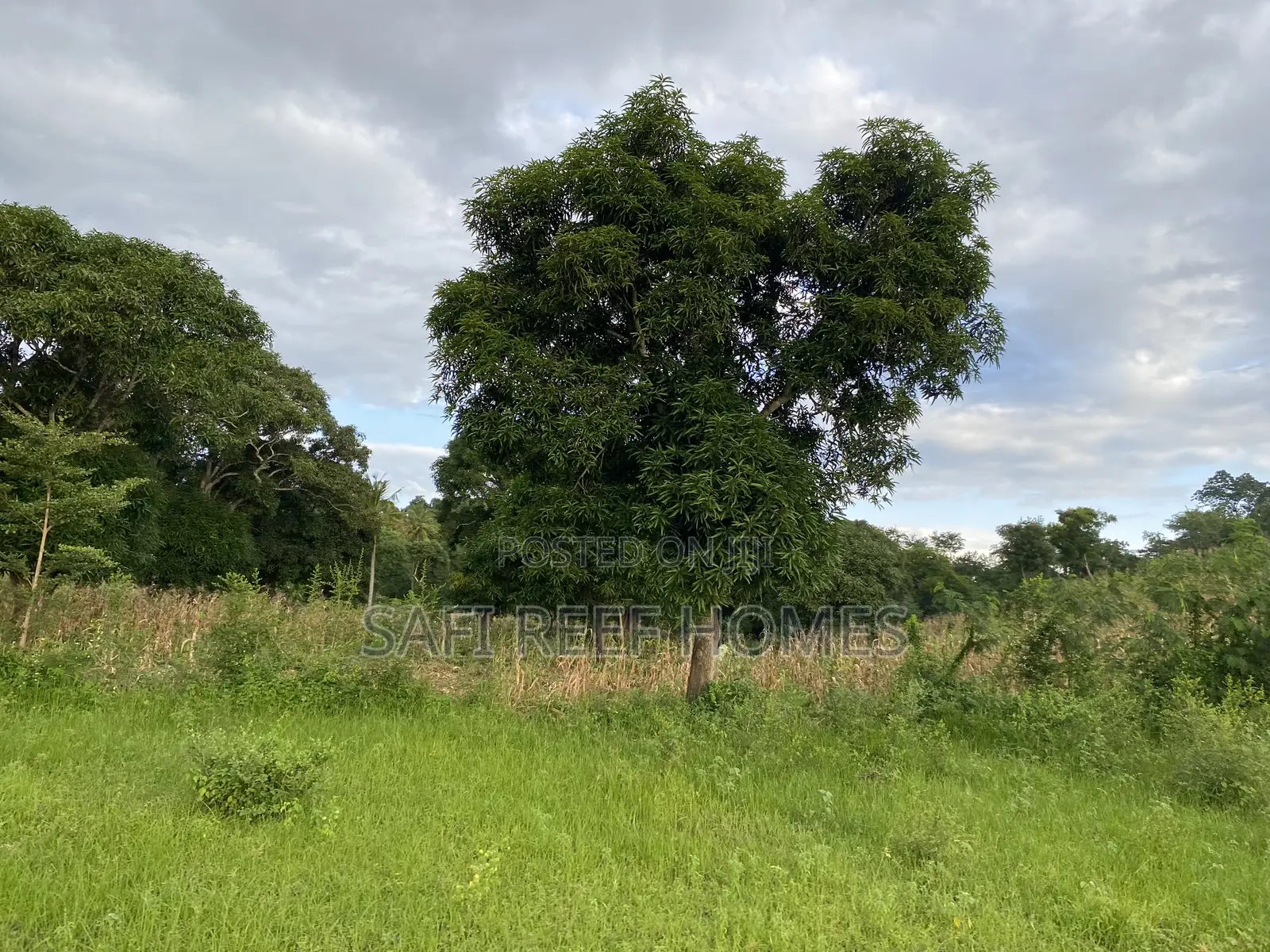 3 Acres for Sale Mtwapa Mtepeni Creek Side