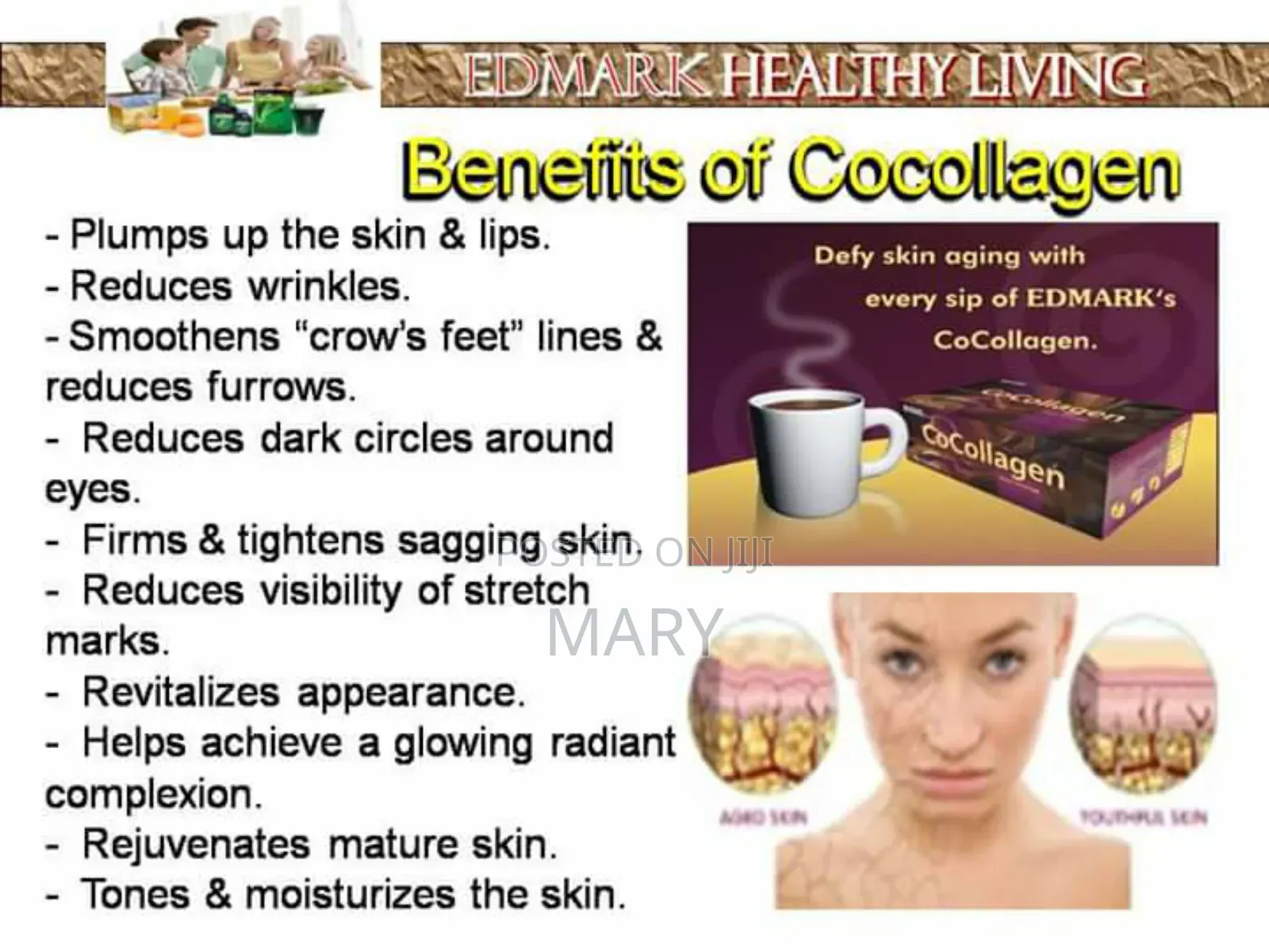 Cocolagen Chocolate Drink for Utmost Skin Health and Glow