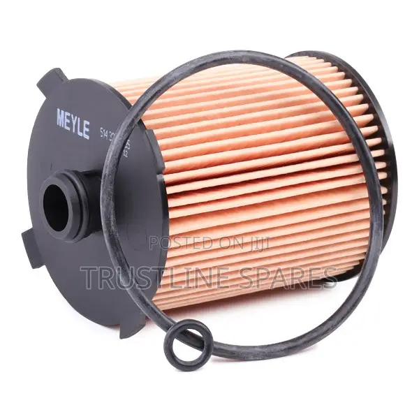 Volvo Oil Filter – Meyle