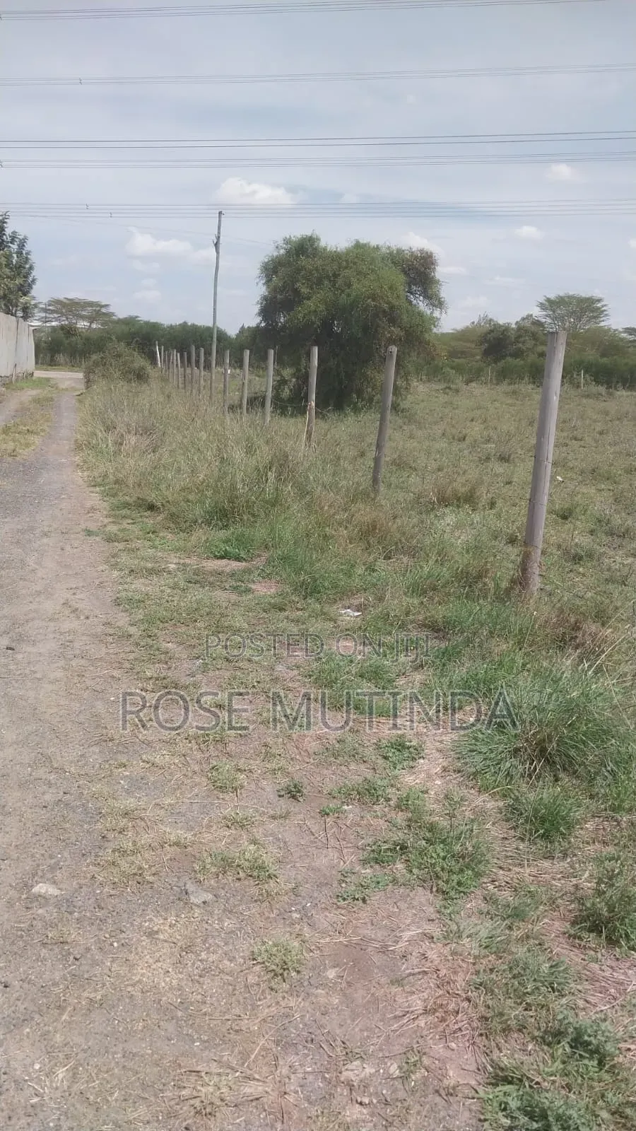 40acres at Isinya