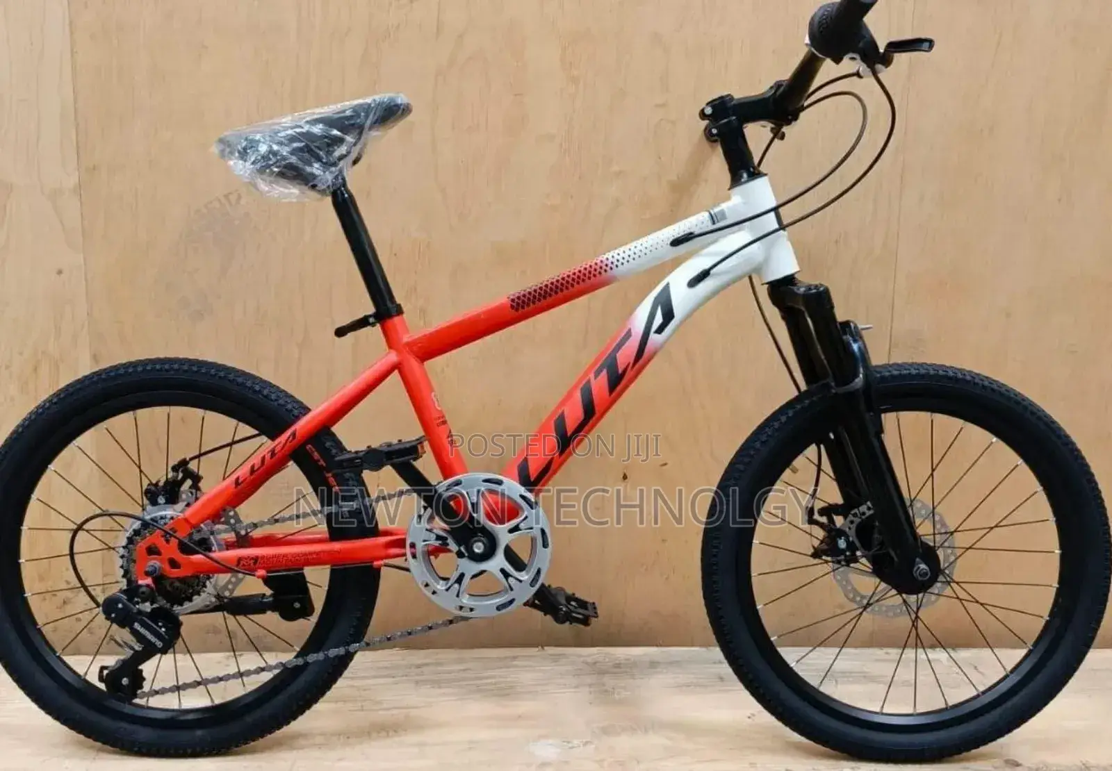 Bike Size 20 Mountain Bike