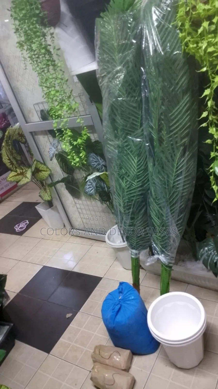 1.6m Long Beautiful Palm Trees