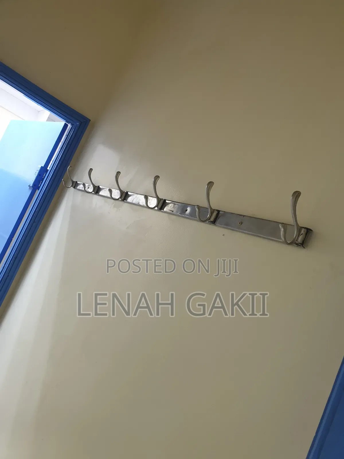 Wall Mounted Hooks