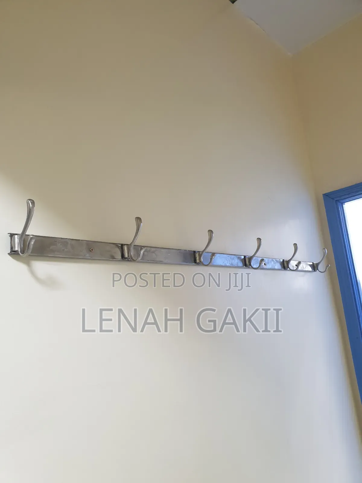 Wall Mounted Hooks