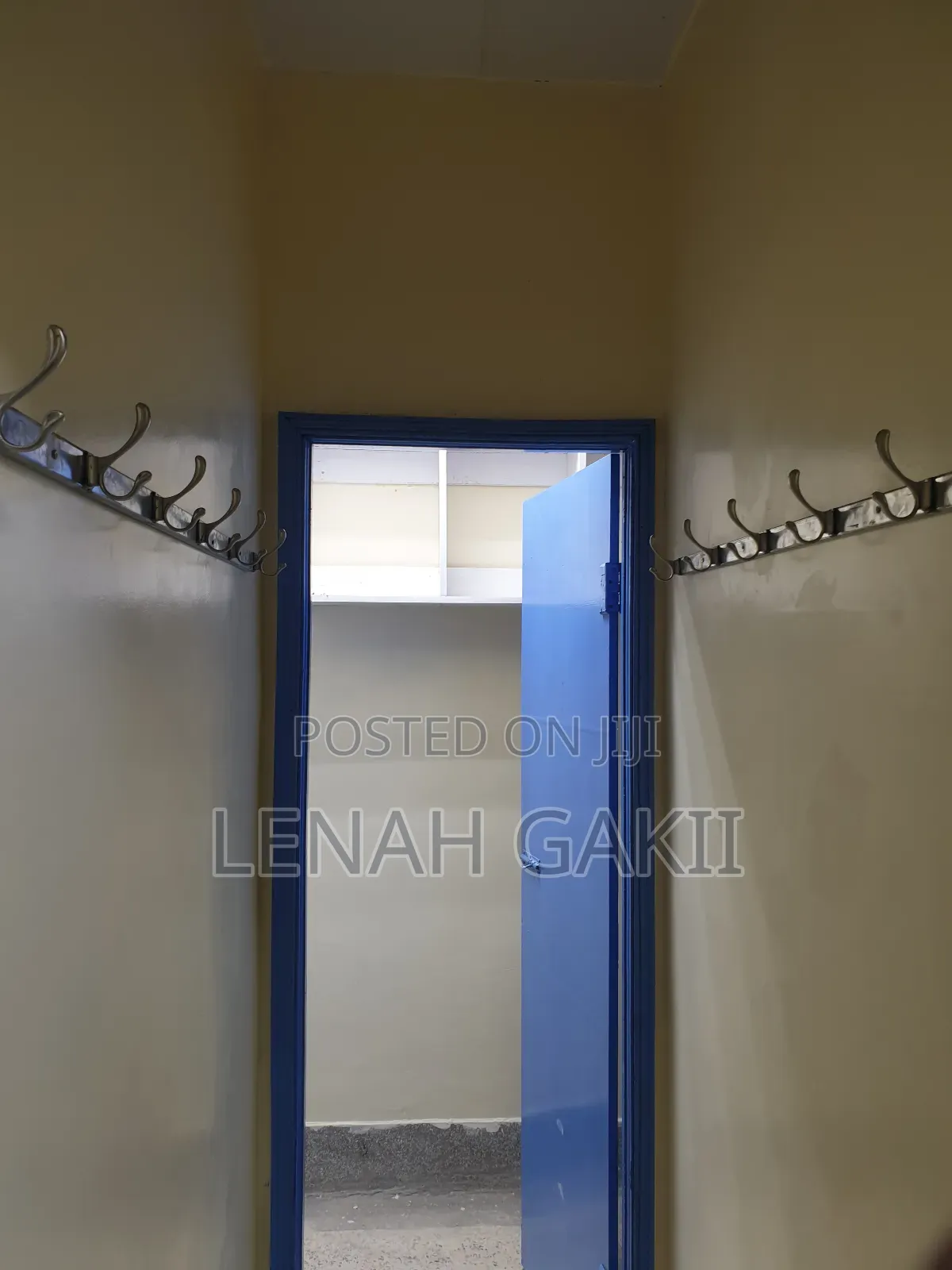 Wall Mounted Hooks