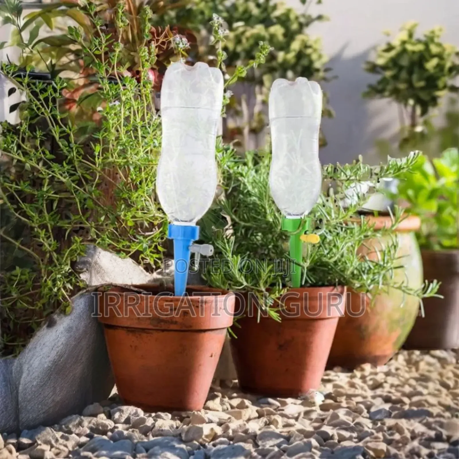 Plant Watering Spike