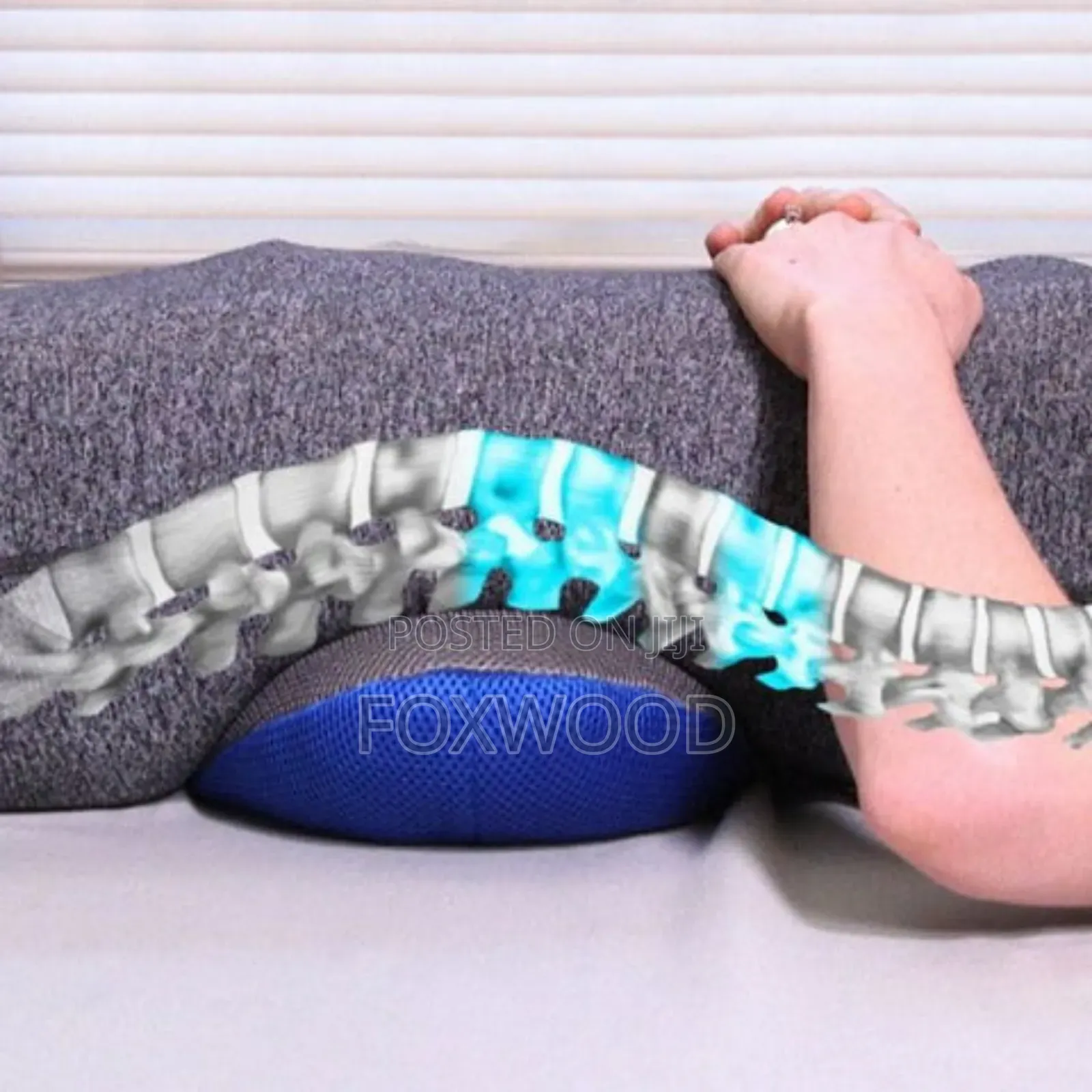 Comfy Curve Back Support Pillow.