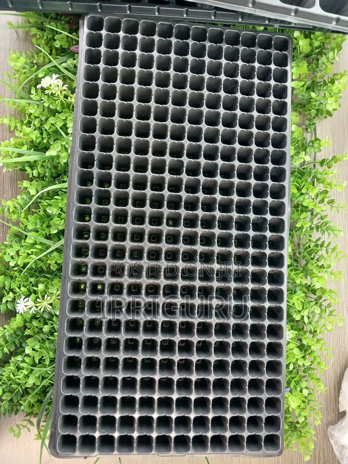 Planting Trays
