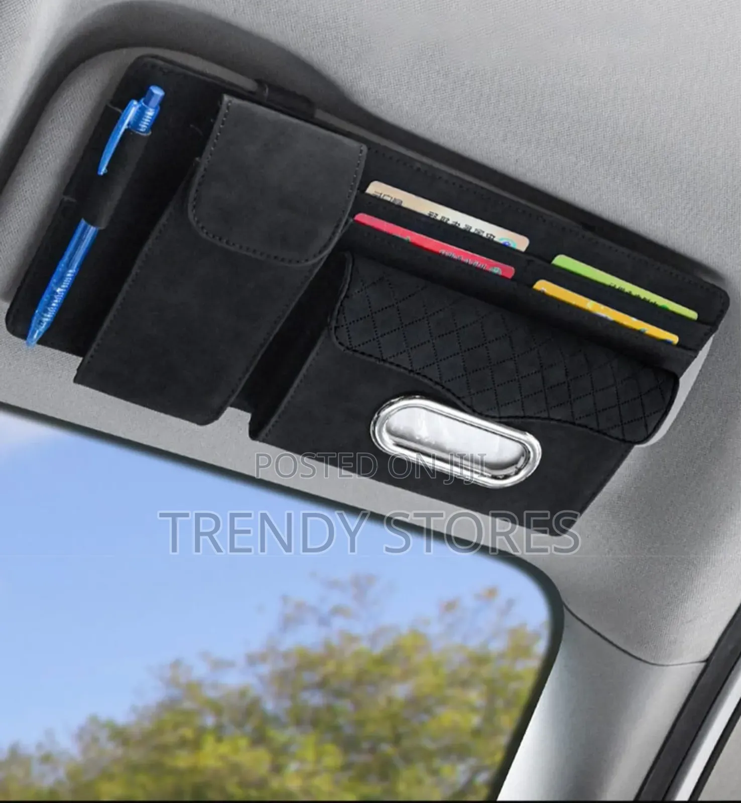 Sun Visor Organizer