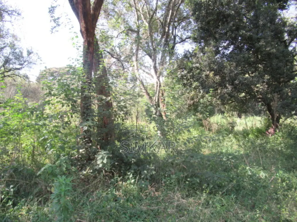 9 Acres of Land for Sale in Karen Hardy